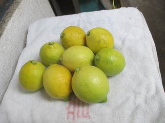 ミックスレモン